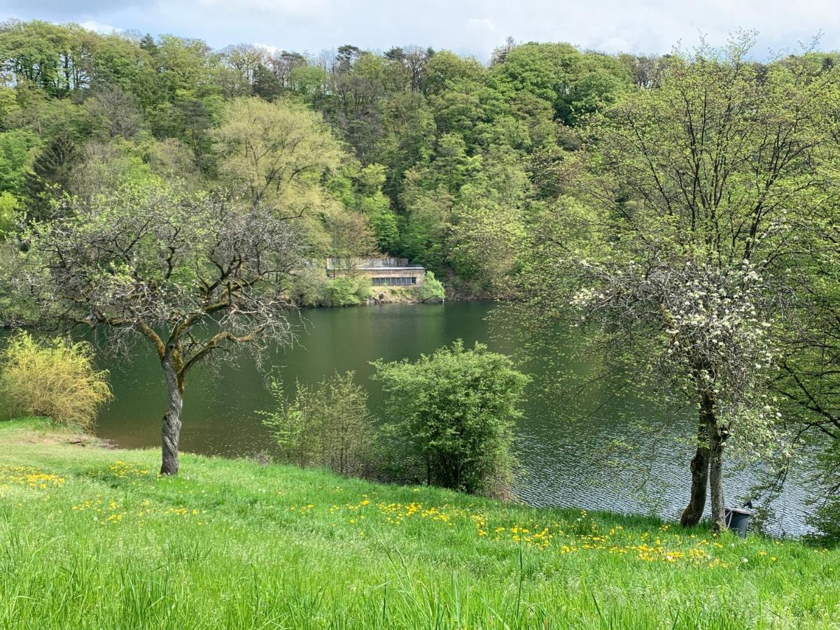 Ferienhaus Eifelstuben Mit Charme - Bauernstube Vulkaneifel - Naehe See Und Burgruine Ulmen Exteriör bild