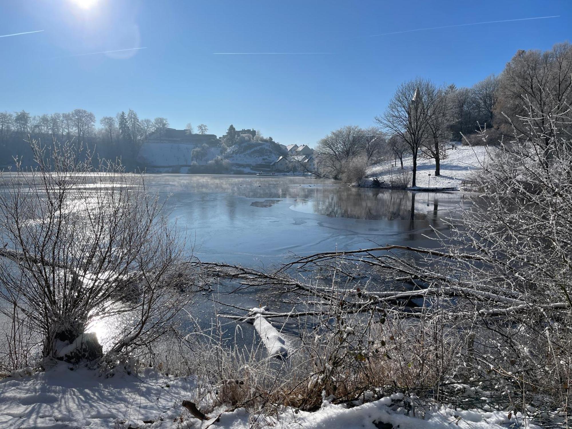 Ferienhaus Eifelstuben Mit Charme - Bauernstube Vulkaneifel - Naehe See Und Burgruine Ulmen Exteriör bild