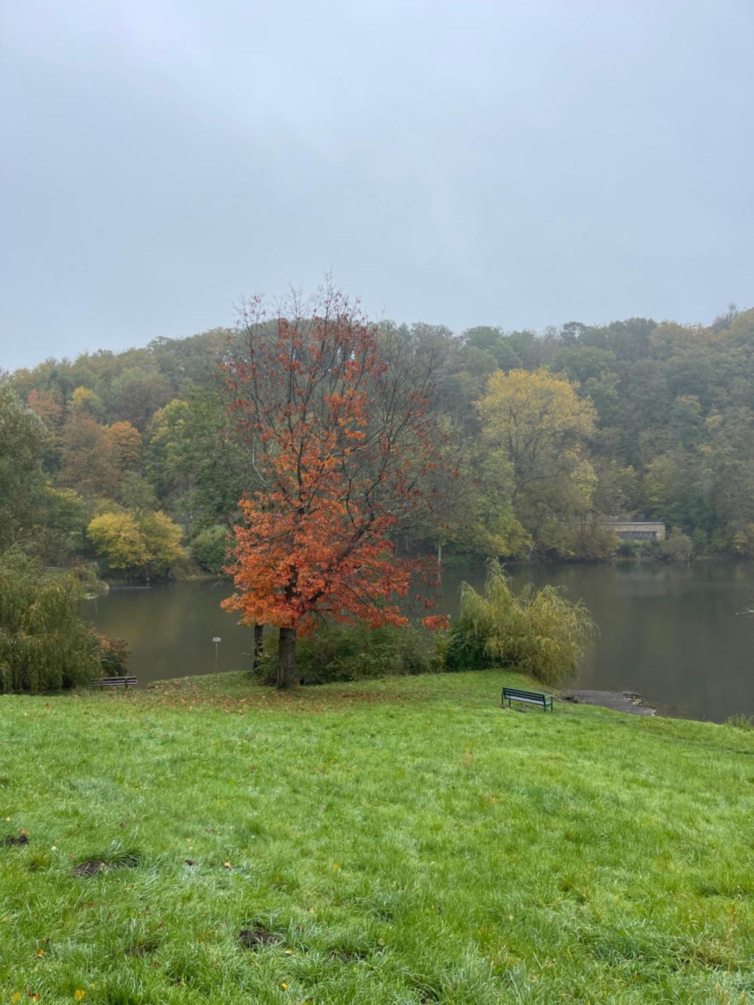 Ferienhaus Eifelstuben Mit Charme - Bauernstube Vulkaneifel - Naehe See Und Burgruine Ulmen Exteriör bild
