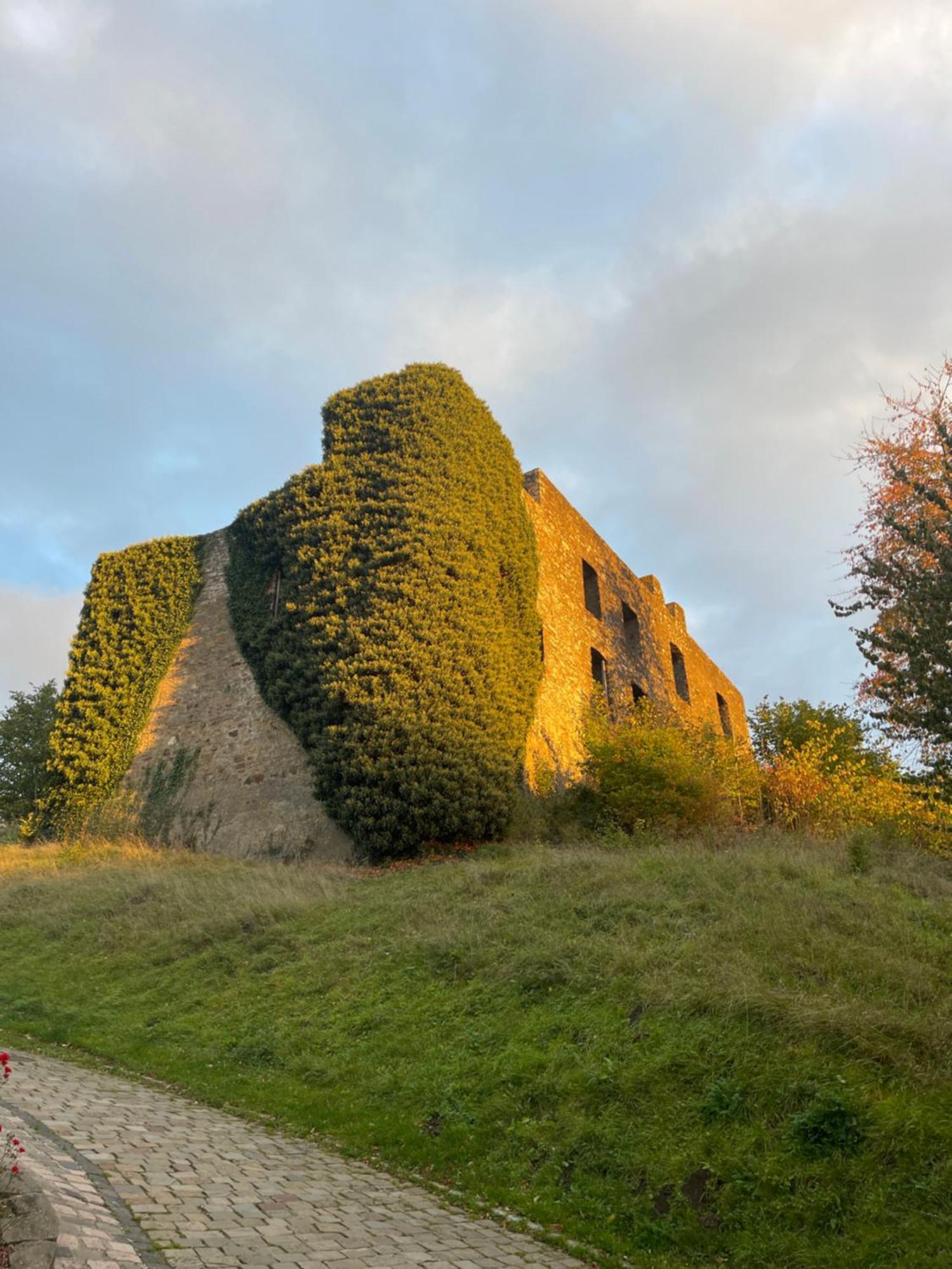 Ferienhaus Eifelstuben Mit Charme - Bauernstube Vulkaneifel - Naehe See Und Burgruine Ulmen Exteriör bild