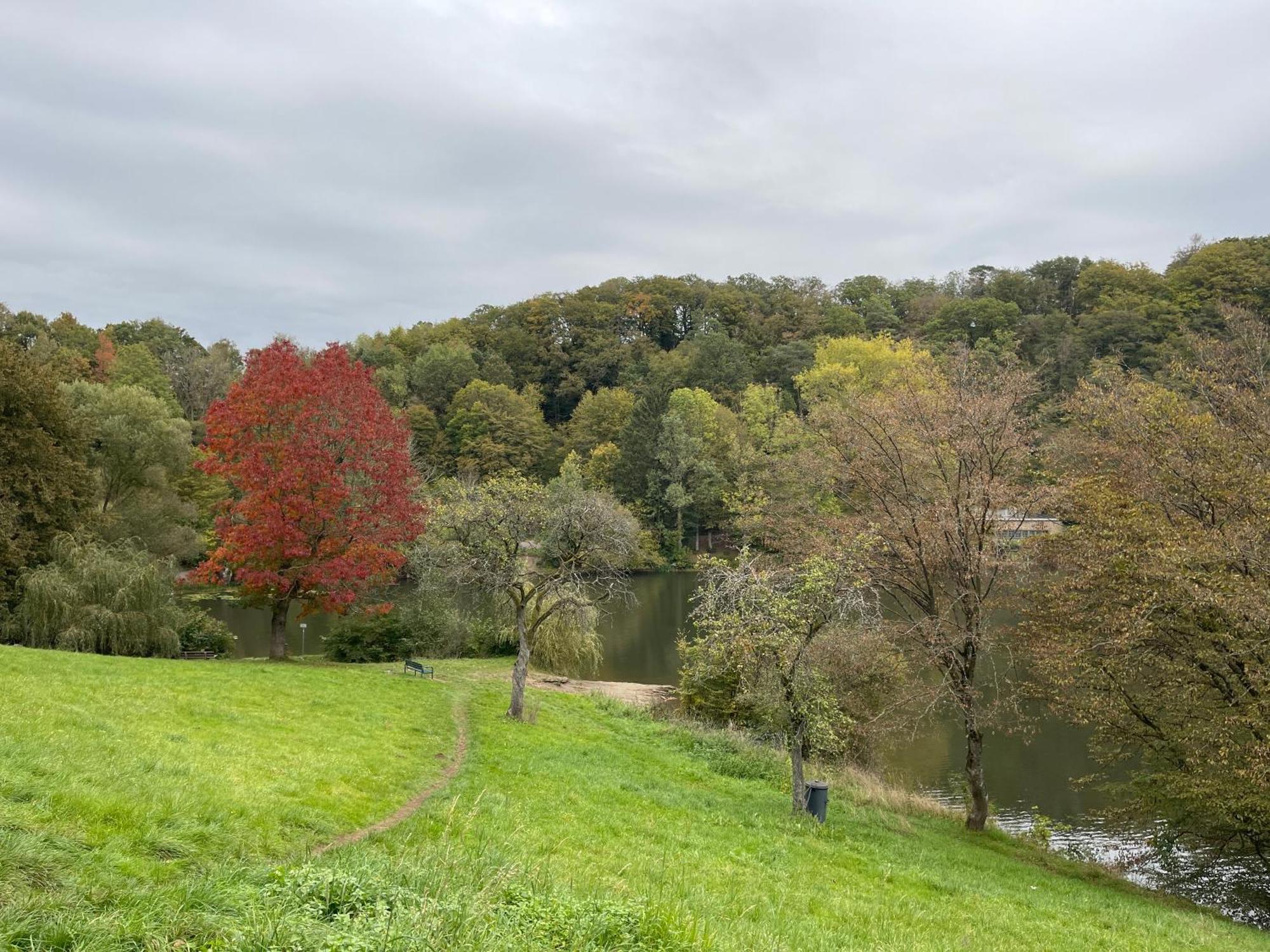Ferienhaus Eifelstuben Mit Charme - Bauernstube Vulkaneifel - Naehe See Und Burgruine Ulmen Exteriör bild