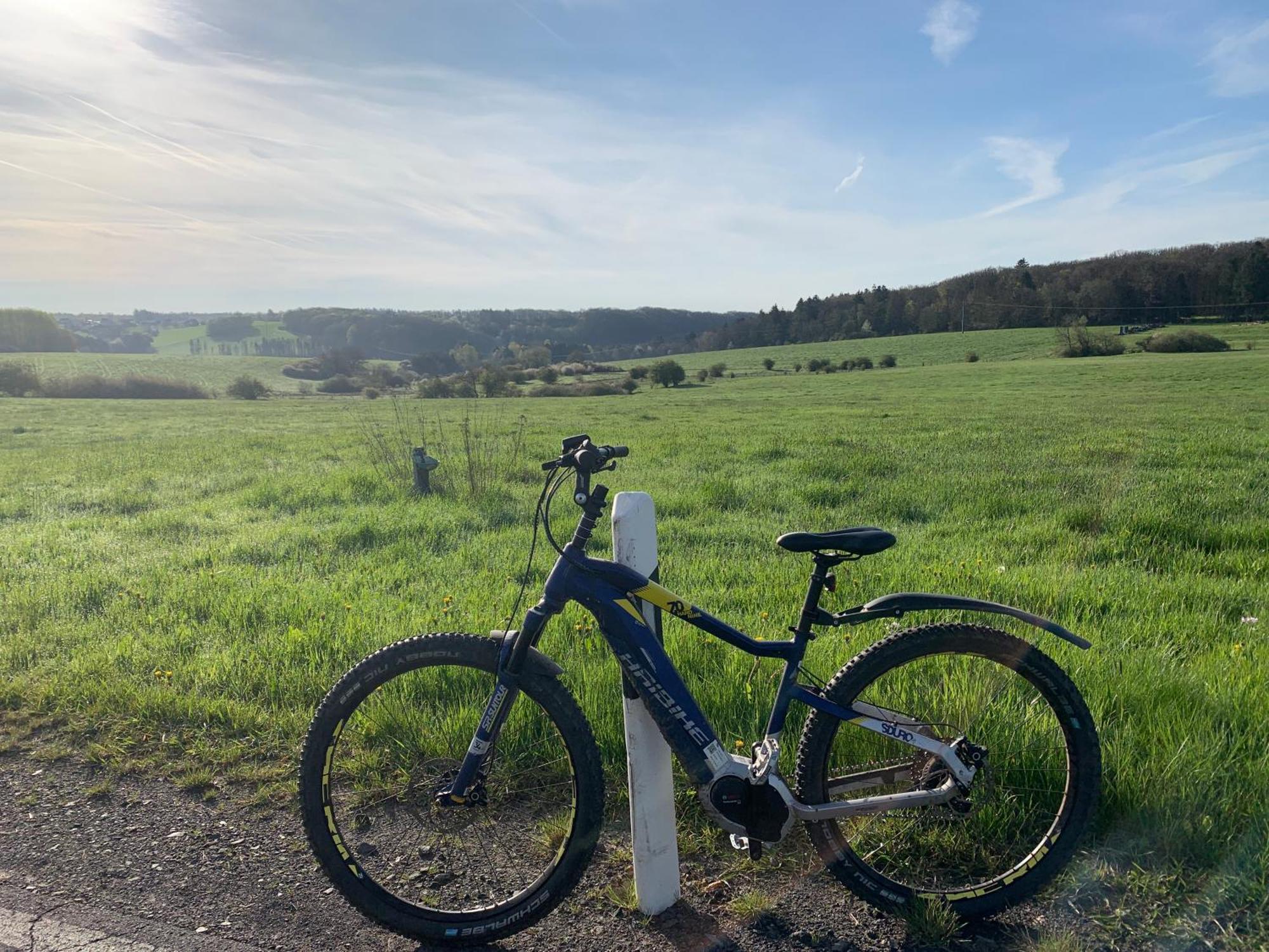 Ferienhaus Eifelstuben Mit Charme - Bauernstube Vulkaneifel - Naehe See Und Burgruine Ulmen Exteriör bild