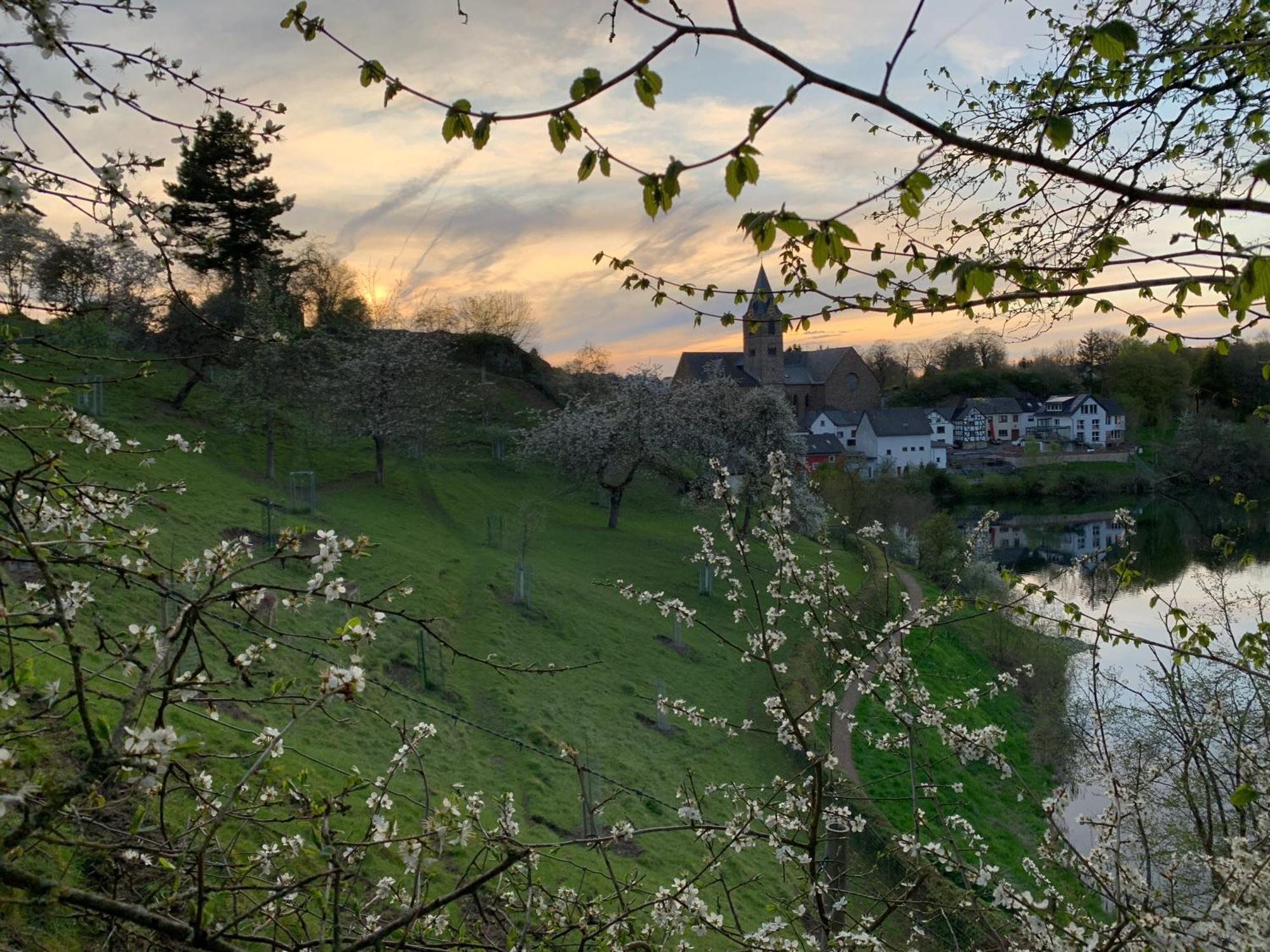 Ferienhaus Eifelstuben Mit Charme - Bauernstube Vulkaneifel - Naehe See Und Burgruine Ulmen Exteriör bild